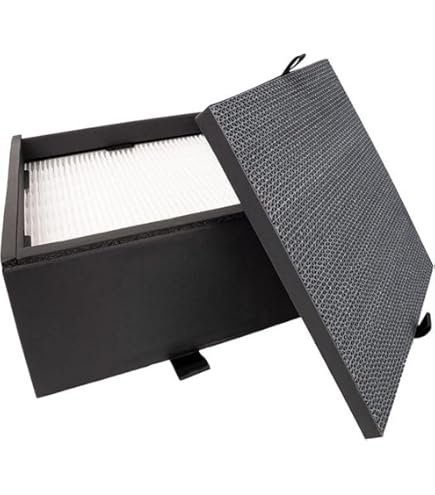 Amazon.co.jp: YUKI TRADING バルミューダ ザ ピュア対応 A01A-P100